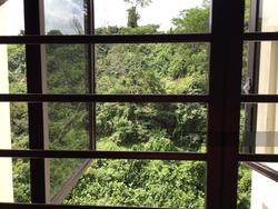 Blk 111B Depot Road (Bukit Merah), HDB 4 Rooms #117543502